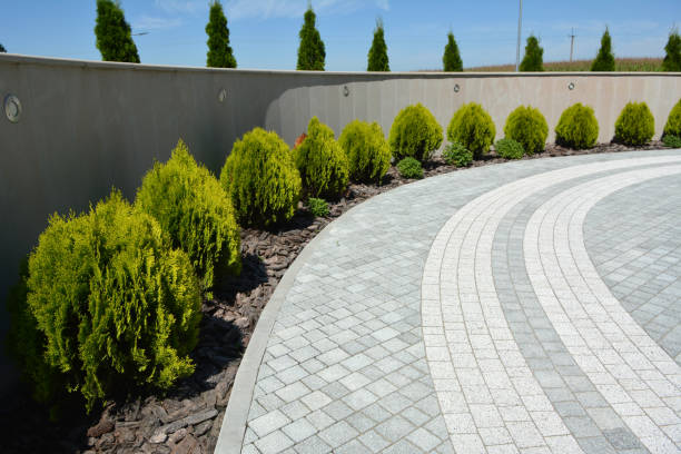 Best Affordable Driveway Paving  in Rutledge, GA